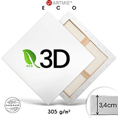3D ζωγραφική καμβά σε πλαίσιο EKO light