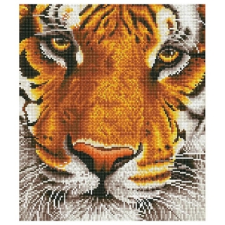Σετ με διαμαντάκια  Diamond Painting - Τίγρης της Βεγγάλης 36 х 42