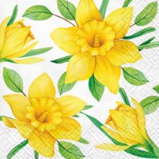 Χαροτοπετσετες για ντεκουπάζ Daffodils in Bloom  - 1 τεμ