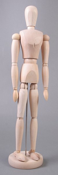 Ξυλινο μοντελο ανθρώπινου σώματος - ανδρας - 40 εκ