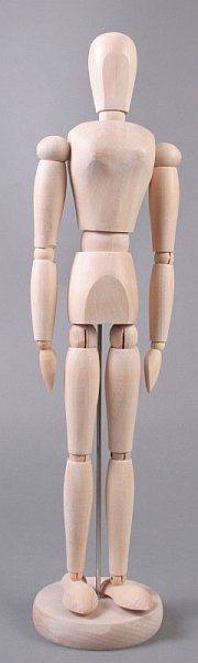 Ξυλινο μοντελο ανθρώπινου σώματος - γυναικα - 40 εκ