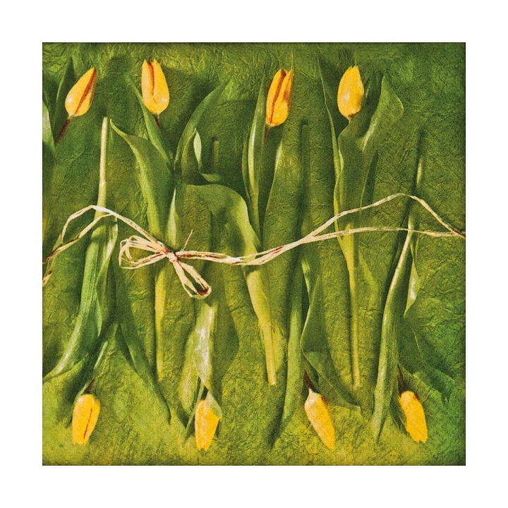 Χαρτοπετσέτες για ντεκουπάζ  Fresh Tulips - 1 τεμάχιο 
