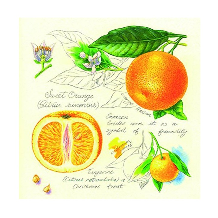 Χαρτοπετσέτες για ντεκουπάζ - Πορτοκάλια - 1 τεμ